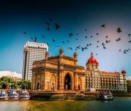 Packers and Movers in Maharashtra